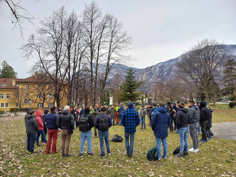 Dalla scelta varietale alla gestione di un albero urbano giovane, maturo o veterano