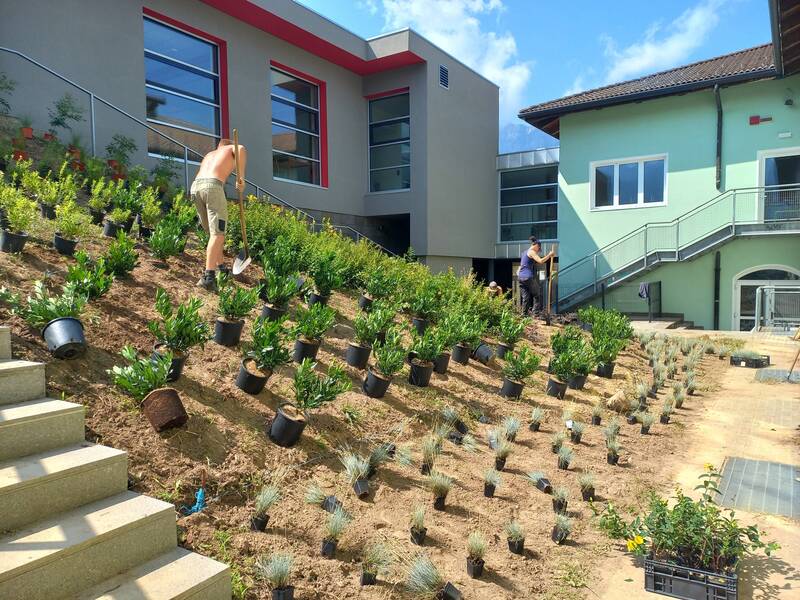 MARZO Patente a crediti: aspetti normativi e informazioni utili per le imprese del verde 