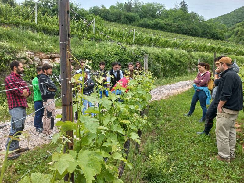 Edizione BPIA 2025-27