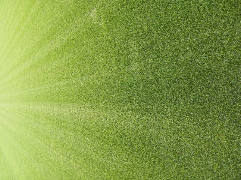 FEBBRAIO Corrette pratiche di irrigazione nei giardini