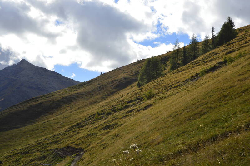 Corso per il conseguimento della qualifica di Esperto Accompagnatore in Provincia di Trento - ESP 2025