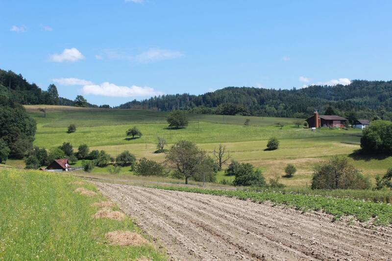 Corso di formazione per accedere all'Esame di Stato per conseguire l'abilitazione a Perito Agrario