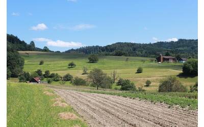 Immagine: agriculture-3154890