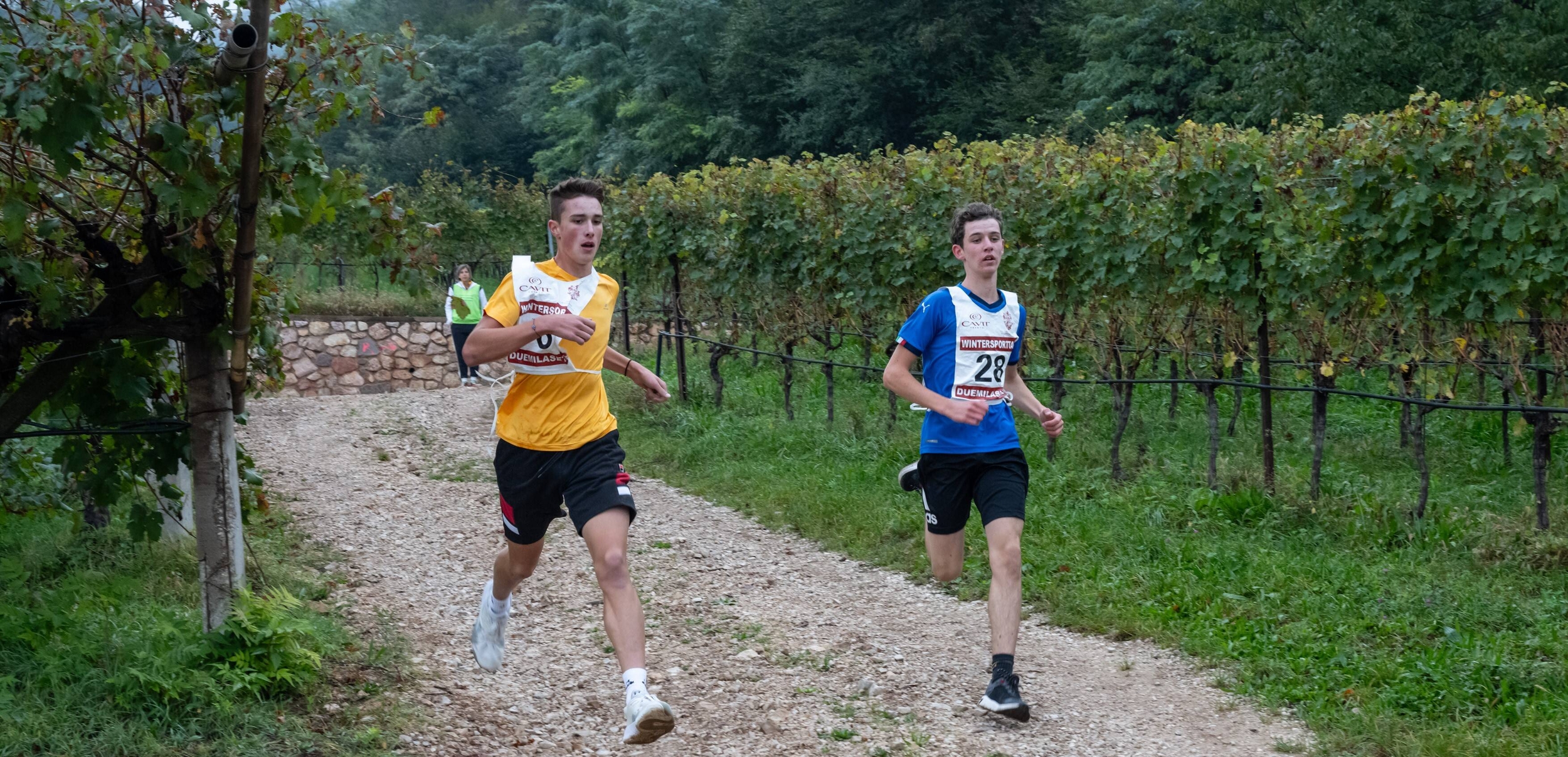 Immagine: corsa campestre 2023