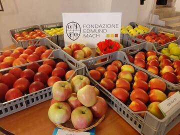 FEM ad Autumnus: dai frutti del futuro all’orto didattico