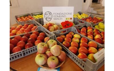 Immagine: FEM ad Autumnus: dai frutti del futuro all’orto didattico