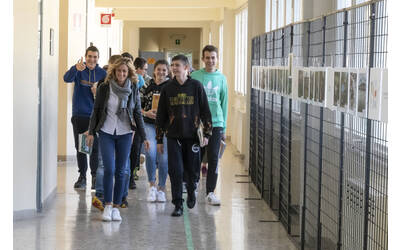 Immagine: FEM entrata studenti 8557 (2)