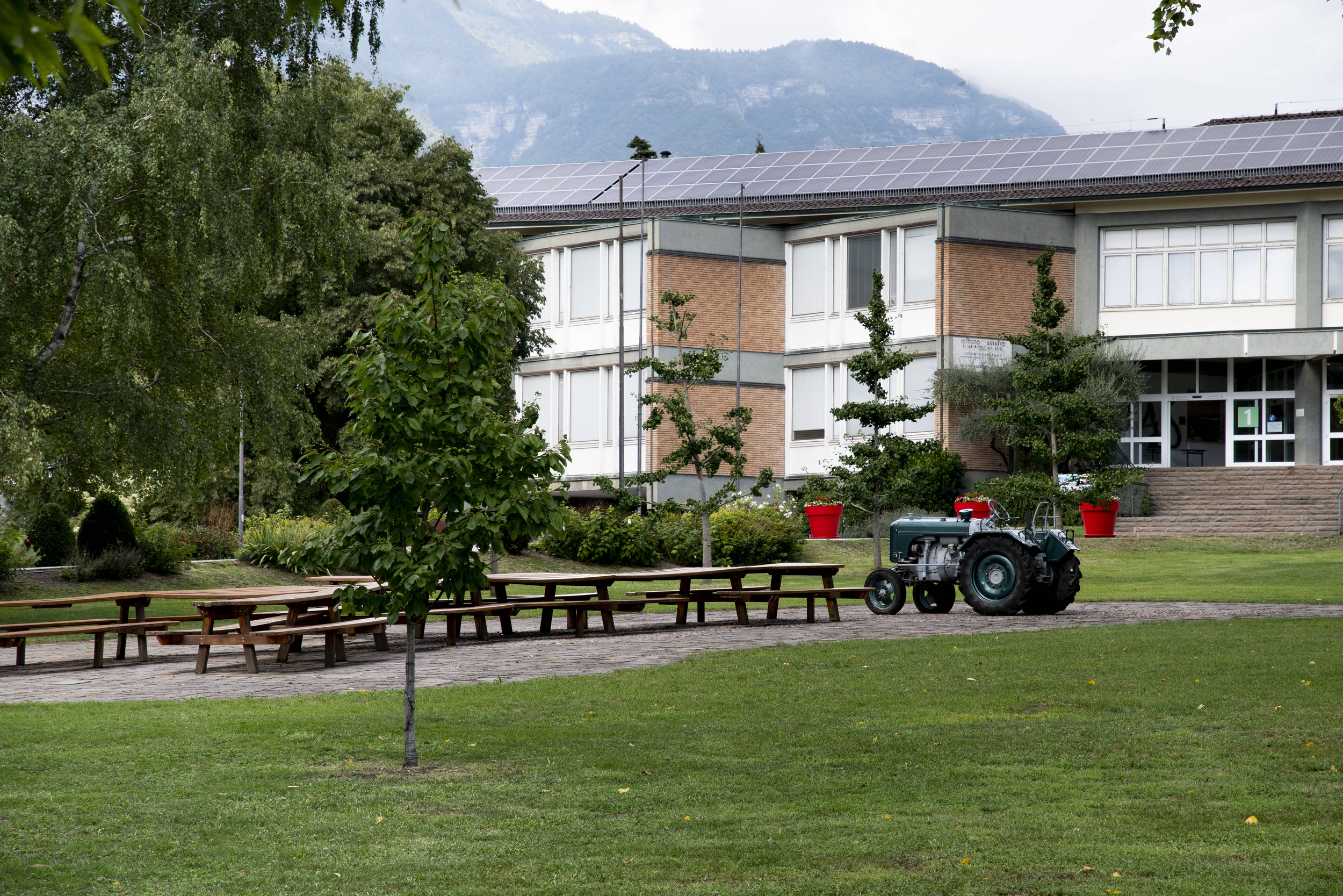 Immagine: Fondazione Edmund Mach 8608