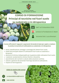 Immagine: IDROPONICA DIC
