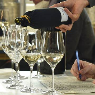 6° Concorso vini del territorio, domani al via la valutazione dei vini