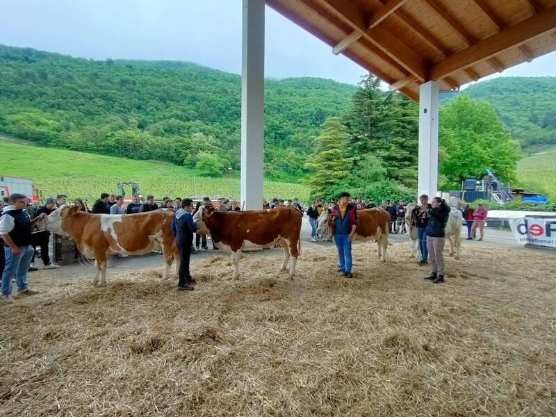 Giochi di agraria: professionalità, passione e divertimento