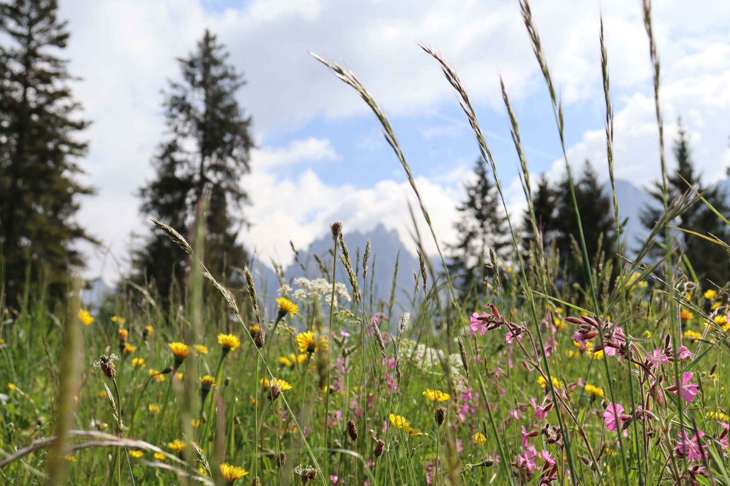Immagine: IMG_7996 (1)