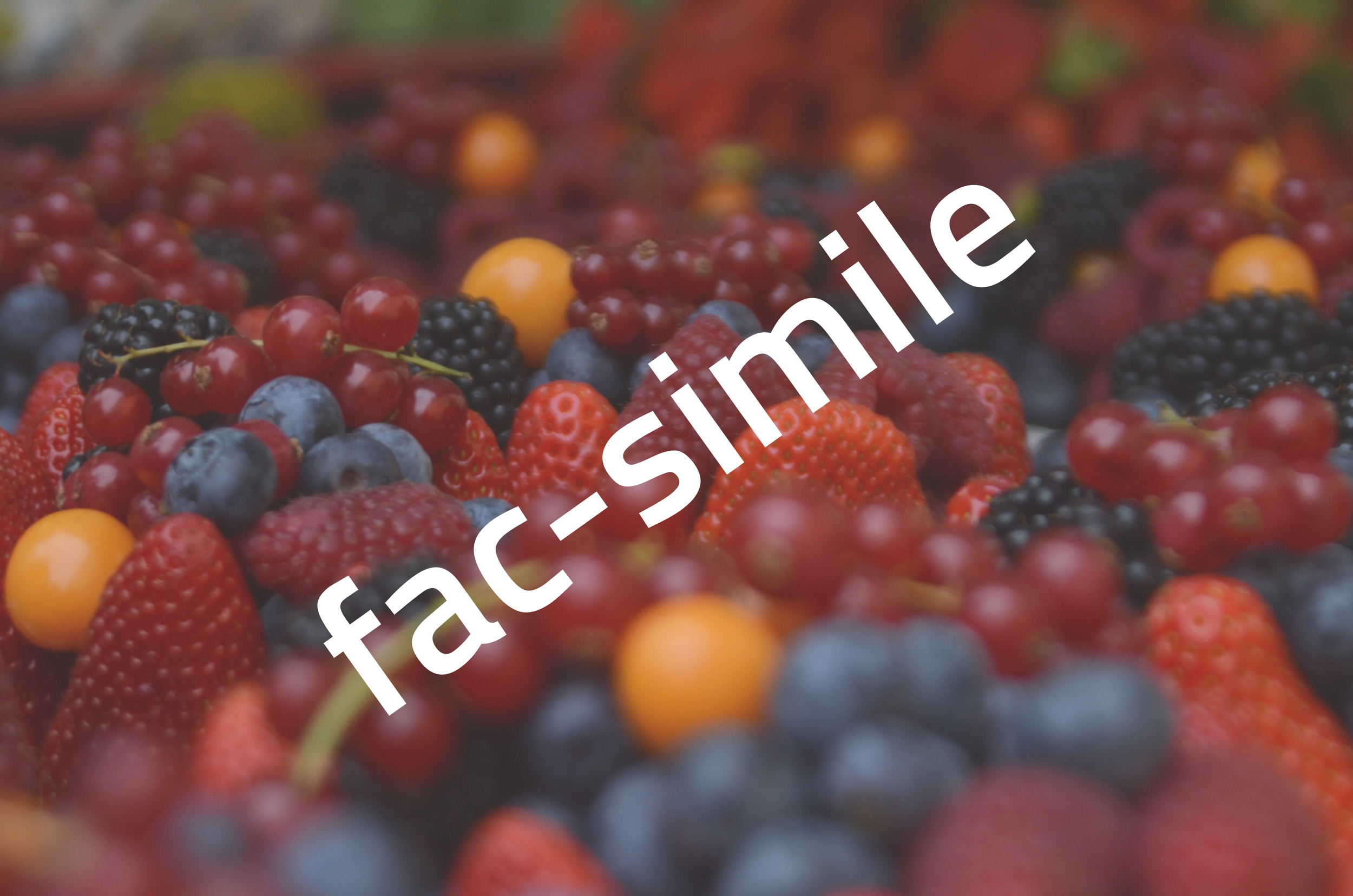 Immagine: karoline-stk-GqMvN4gDPes-unsplash