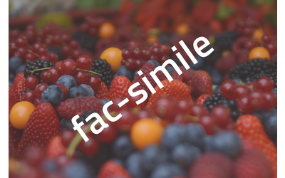 Immagine: karoline-stk-GqMvN4gDPes-unsplash