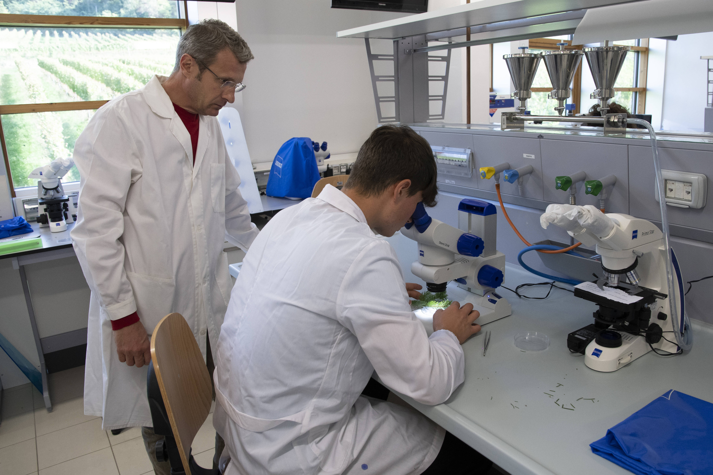 Immagine: Laboratori - Attività al microscopio