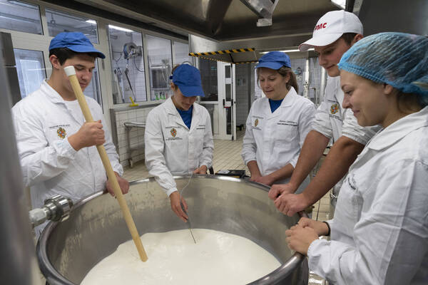 Immagine: Laboratori - Lavorazione latte