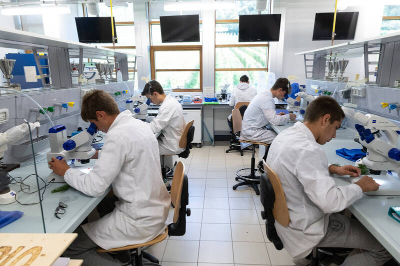 Istruzione Tecnica maturità in 4 anni